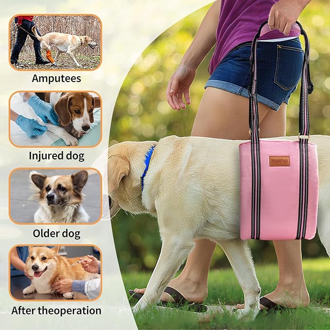 Dog Lift Harness for Large Dogs, Adjustable Comfortable Dog Sling with Handle, Knee & Rear Leg Support for Torn ACL Rehabilitation, Weak Rear Legs, Helps Senior, Disabled Canines(Pink,L)