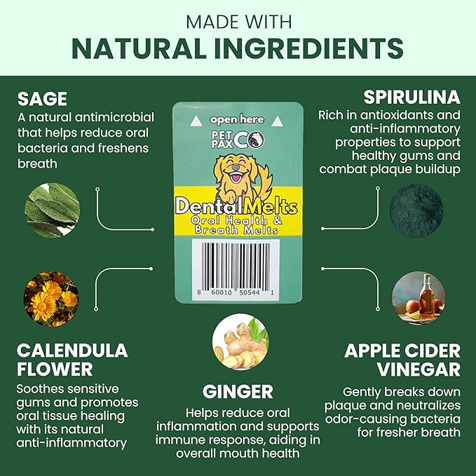 Bad Breath Oral Support for Dogs 5 in 1 – 10 Oral Melts – Natural Sage, Spirulina, Apple Cider Vinegar – Dog Dental Care Products & Breath Freshener – Fast Dissolving Dog Breath Treats