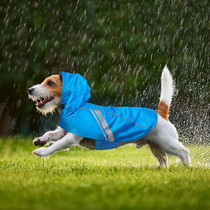 VIVAGLORY Wetoff Dog Raincoat, Rain Coat for Dog All Seasons Adventure, Rain Jacket with Harness Hole & Hood, Reflective Lightweight Waterproof for Doggy & Puppy, S, Blue