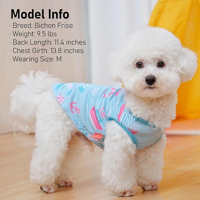 KYEESE 2Pack Dog Cooling Shirt, Breathable Dog Shirt for Small Dogs, Sun Protection Dogs Cooling Vest Tank Top, Lightweight Soft Sleeveless Summer Puppy Clothes, Blue+Grey, S