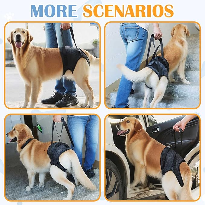 Dog Support Harness for Back Legs, Adjustable Rear Hind Leg Sling for Medium & Large Senior Dogs
