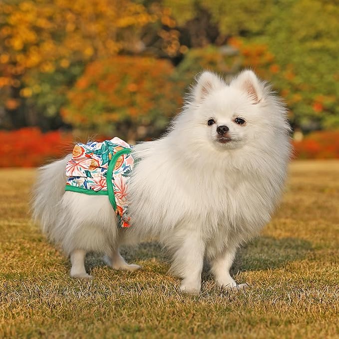 Dog Diapers Female Washable (3 Pack), Reusable Dog Period Diapers Female Doggie Diapers Puppy Diapers Female Dog Diapers for Heat, Incontinence, Excitable Urination,M
