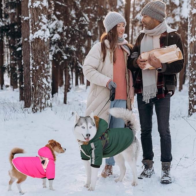 Queenmore Warm Dog Winter Coat, Cold Weather Waterproof Snow Jacket with Reflective Hoodie, Long Sleeves for Small to Large Dogs