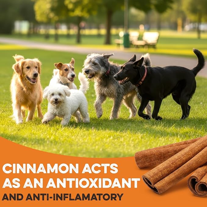 BRUTUS & BARNABY USA Sweet Potato Dog Treats - Crunchy Grain Free Cinnamon Apple Sticks, Promotes Positive Gut Health with Natural Anti-Diarrhea Properties (Cinnamon & Apple, 12 oz)