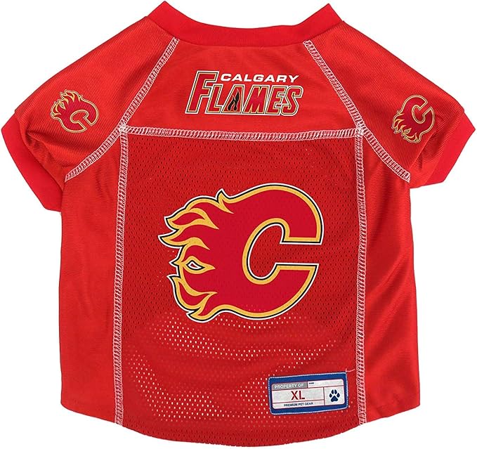 Littlearth NHL Unisex-Adult Basic Pet Jersey