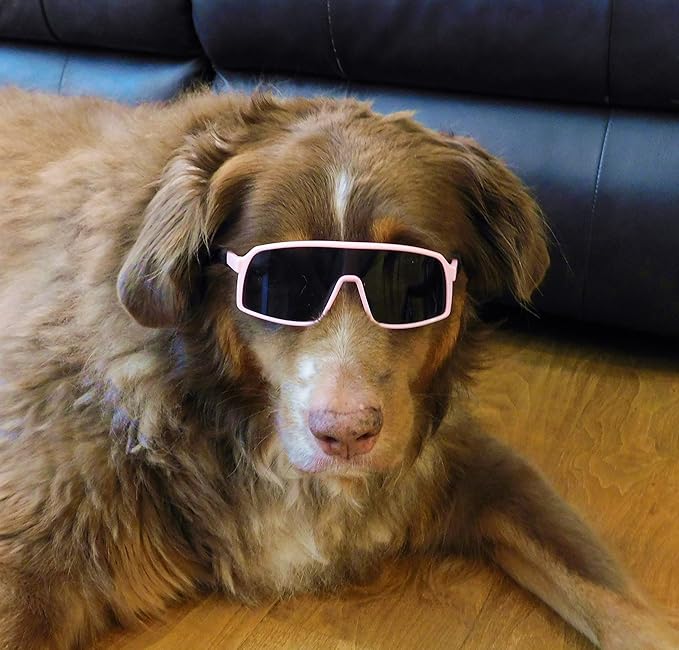 G010 Dog Pet Turbo Sports Sunglasses Medium Breeds 20-40 lbs (Sports Turbo Pink)