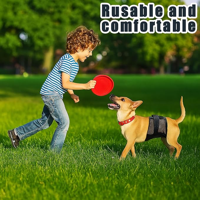 3-Pack Dog Diapers Male–Reusable & Washable Belly Bands for Dogs, Breathable Air-Mesh Fabric,for Doggie & Puppy in Incontinence or Excitable Urination and Training (Black, XL, Count, 3)