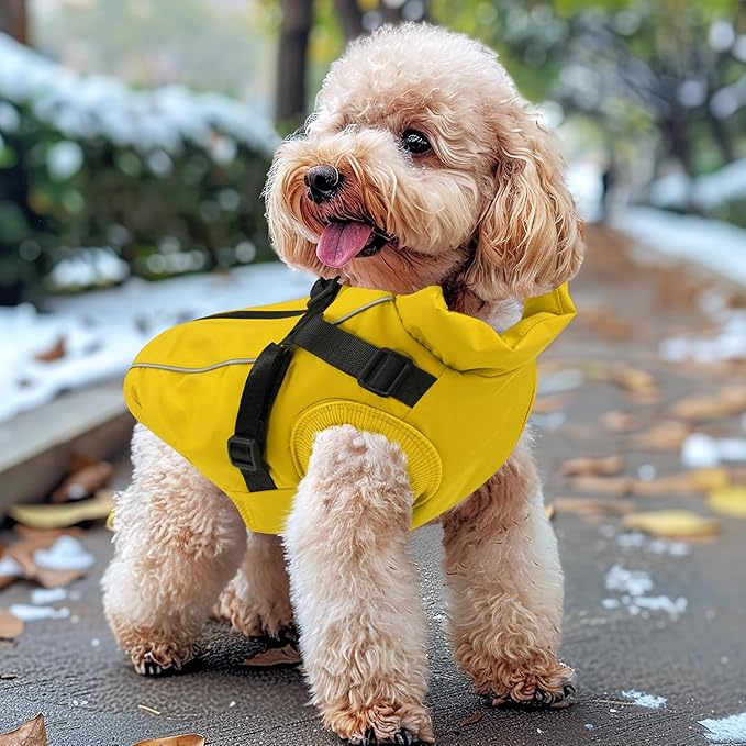Dog Winter Coat Reflective Water-Resistant Jacket, Fleece Lined Windproof Puppy Coat with Back Zipper & D-Ring, Cold Weather Dog Coats for Small Medium Dogs (M, Orange)