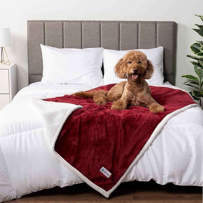 PetAmi Waterproof Dog Blanket for Medium Large Dog Puppy Cat Throw for Couch Cover Leakproof Protection, Sherpa Fleece, Reversible Soft Washable 60x40 Wine Red