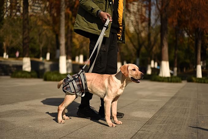 ROZKITCH Dog Lift Harness, Grid Pet Rear Support Aid Veterinarian Approved Sling for Old K9 Help with Poor Stability, Back Leg Hip Disabled Joint Injury Elderly Arthritis ACL Rehabilitation Rehab