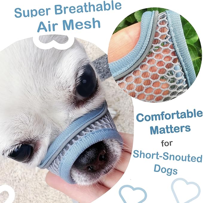 Dog Muzzle for Small Medium Dogs to Prevent Biting for Brachycephalic Dogs,Mini Poodle,Corgi,Short Snout Friendly,Soft Breathable Lightweight Mesh,Open Front,for Grooming Vet Visits(Summer Blue, M)