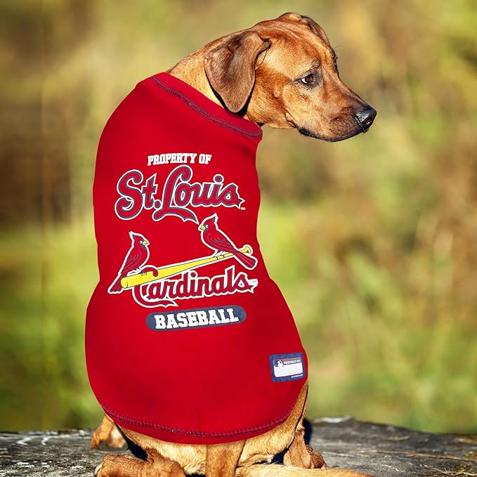 MLB Saint Louis Cardinals Dog T-Shirt, Large. - Licensed Shirt for Pets Team Colored with Team Logos. - Premium Stretchable Materials for The Comfort of Your Dog & cat.