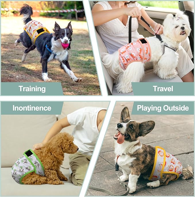 Female Dog Diapers - Premium Reusable Diapers for Doggie in Heat - Highly Absorbent for Pet Incontinence with Adjustable Snaps Rabbit, L