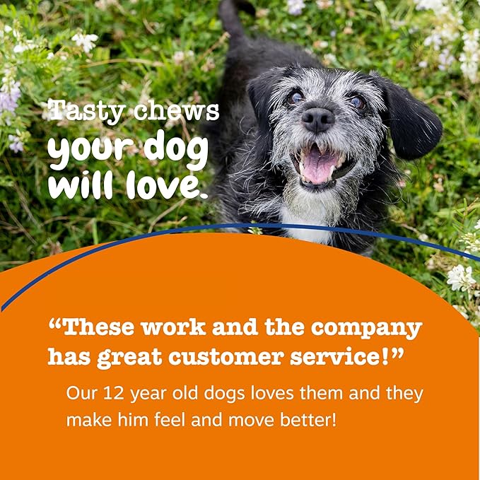 Zesty Paws Senior Dog Multivitamin Treats - Glucosamine for Dogs + Digestive Enzymes & Probiotics - Grain Free Dog Vitamins and Supplements for Skin & Coat + Immune Health Beef - Advanced - 90ct