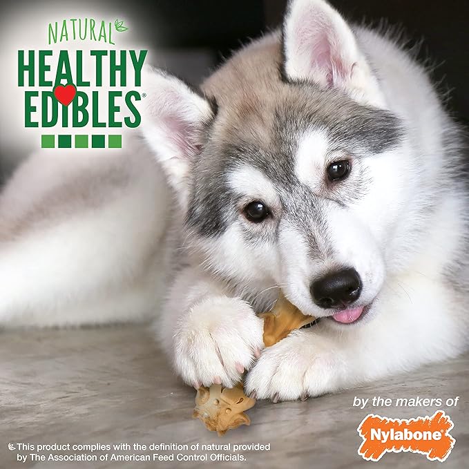Nylabone Healthy Edibles All-Natural Puppy Chew Treats for Large Breed Puppies Medium/Wolf (2 Count)