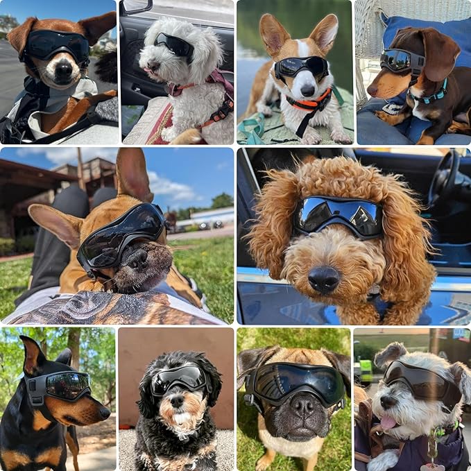 PETLESO Dog Goggles Small Breed, UV Protection Dog Sunglasses for Medium Dog Outdoor Riding Driving, Medium Black