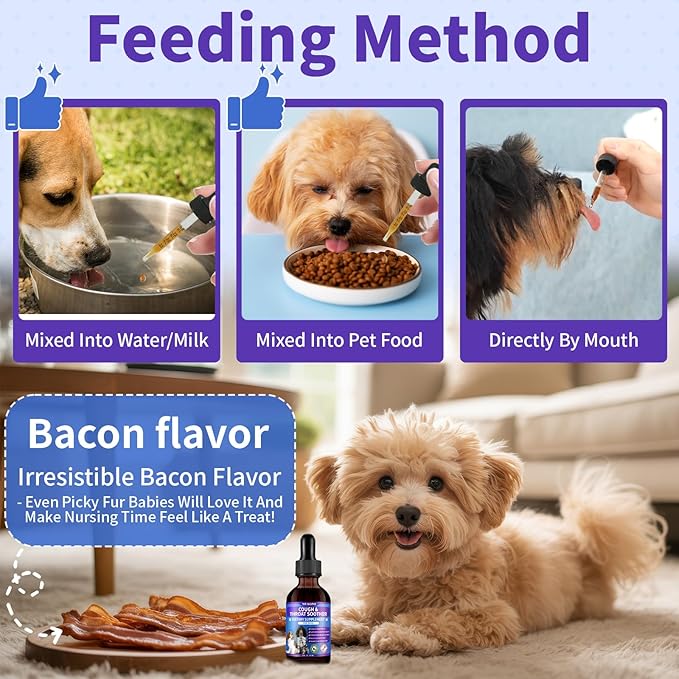 Dog Cough Treatment Support for Dogs - Dog Cough Care Natural Solution for Cough Natural Dog Cough Supplement Herbal Drops Support for All Breeds - 60 ml/2 Fl Oz