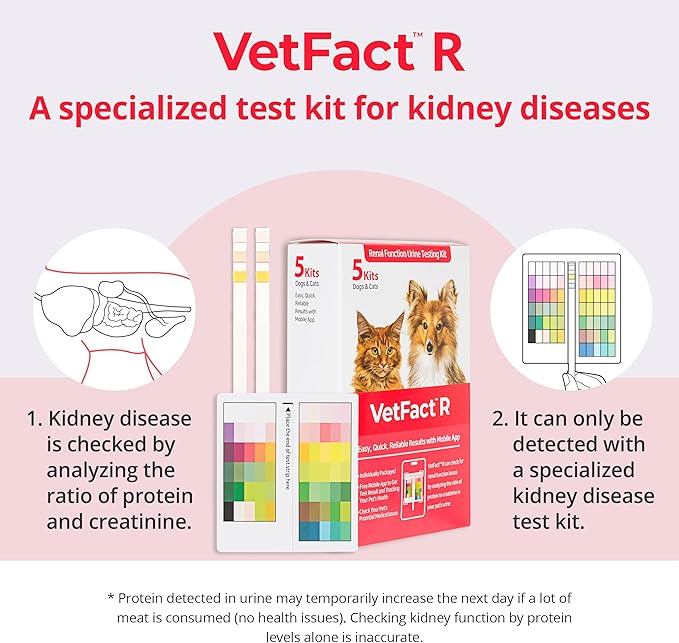 [10 Kits] Free Mobile App Urine Test Strips for Dogs & Cats, Kidney Function & 10-Parameter Test at Home