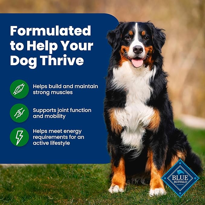Blue Buffalo Life Protection Formula Adult Dry Dog Food, Helps Build and Maintain Strong Muscles Lamb & Brown Rice Recipe, 24-lb. Bag