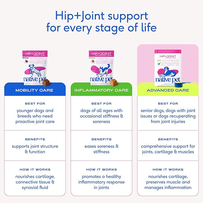 Native Pet Hip & Joint Advanced Care Dog Joint Supplement Powder for Mobility & Movement Support, Joint Supplement for Dogs with HMB, UC-II Collagen, Green Lipped Mussel & Hyaluronic Acid – 30 Scoops