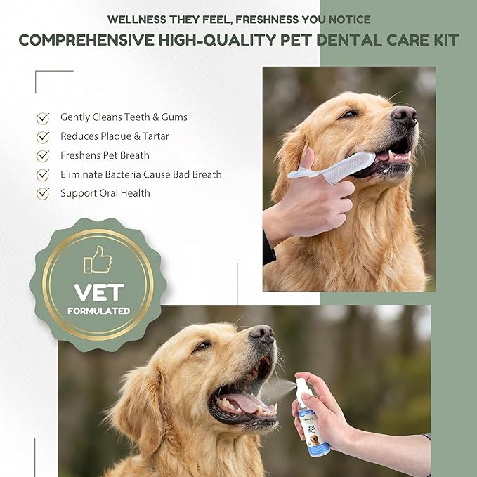 Pet Dental Finger Wipes for Dogs & Cats – 50 Mint Flavor Dog Dental Wipes + Mint Fresh Breath Spray, Dog Tooth Brushing Kit, Helps Remove Bad Breath & Plaque & Tartar Buildup