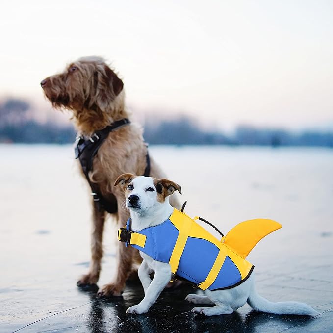 Queenmore Dog Life Jacket, Adjustable Dog Life Vest, Pet Lifesaver for Swimming, Shark Life Jacket with Rescue Handle, Rip-Stop Safety Vest for Small Medium Large Dogs