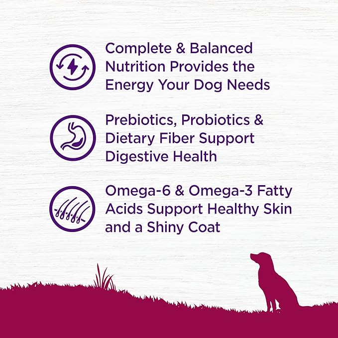 Wellness Complete Health Dry Dog Food, Small Breed, Grain Free, Natural, Turkey, Chicken, & Salmon Recipe (11-Pound Bag)