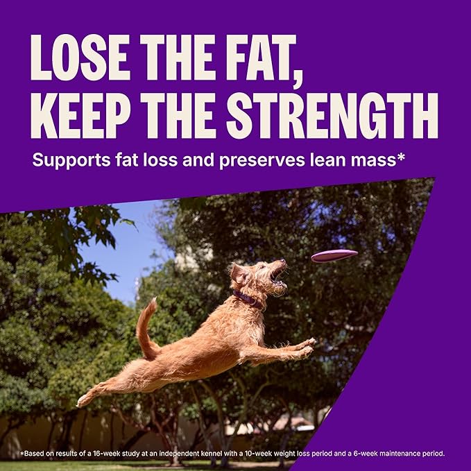 Wellness CORE Dry Dog Food, Grain-Free, High Protein, Natural, Healthy Weight Turkey & Chicken Recipe, (4-Pound Bag)
