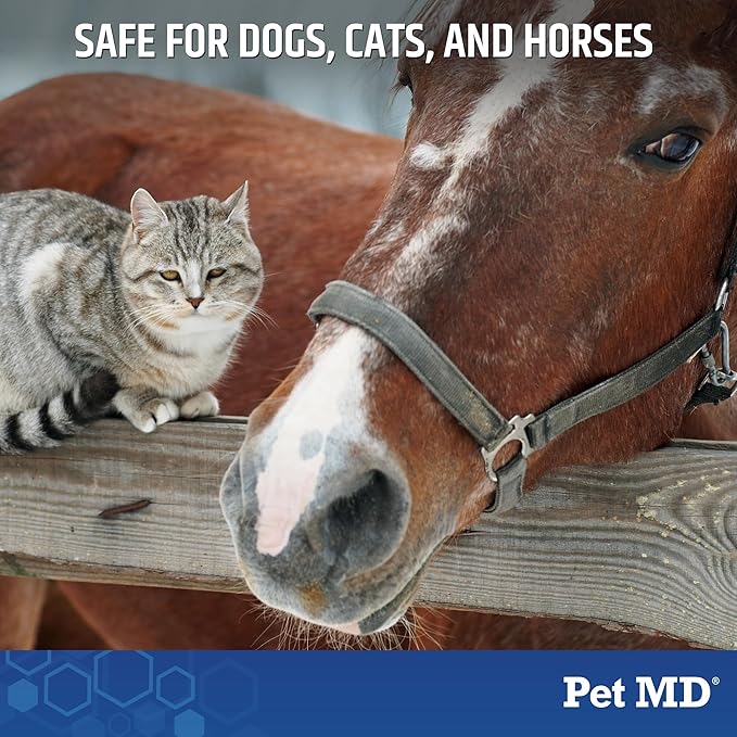 Pet MD TopicalShampoo for Dogs, Cats, & Horses- 12 oz