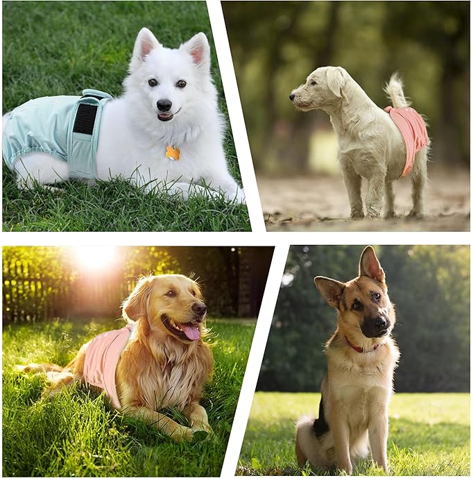 3Pack Reusable Female Dog Diapers, Washable Diaper for Doggie,Highly Absorbent Dog Diaper,Adjustable Leakproof Puppy Diapers Skirt for Heat,Incontinence,Period Doggy Nappies XL