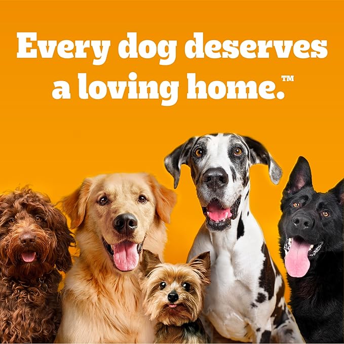 Pedigree High Protein Wet Dog Food, Adult Soft Canned Dog Food, Chicken & Turkey Flavor, 13.2 oz Cans, 12 Count