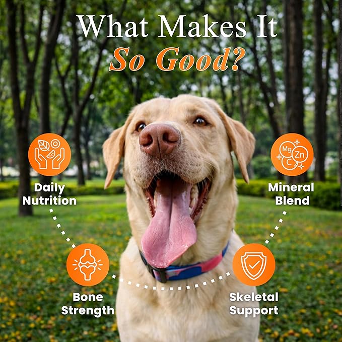 Multivitamin Chews for Dogs - Joint Support + Digestive Enzymes & Probiotics - Dog Multivitamins Chewable - Puppy & Senior Dog Vitamins - Daily Dog Multivitamin (50 Soft Chews)