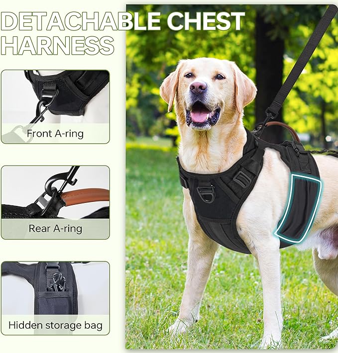 Dog Lift Harness for Male Dogs - 2-in-1 Full Body Support Aid & Sling, Comfortable & Chafe-Free for Post-Surgery Recovery and Elderly Dog Mobility, Hind Leg Assistance, Supports up to 55 Lbs (L)
