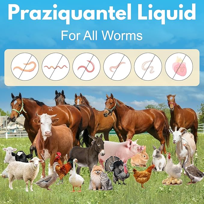 Praziquantel for Horse, Dewormer for Horse, Dogs, Cats, Poultry & More, 14.03% Praziquantel for All Worms, Tapeworms, Roundworms & Hookworms, 100 mL