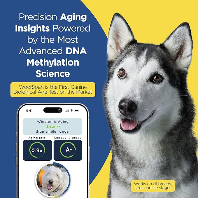 WoofSpan Dog Biological Age Test - DNA Methylation Science to Assess Healthspan, Aging Rate, and Risk for Common Conditions - Personalized Health Report & Preventative Care Tool for Dogs