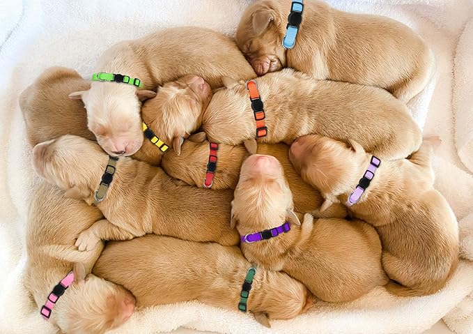 20 Pack Puppy Collars,Puppy Collars for Small Puppies Safety Buckle Soft Nylon Newborn Whelping Litter Collars(M)