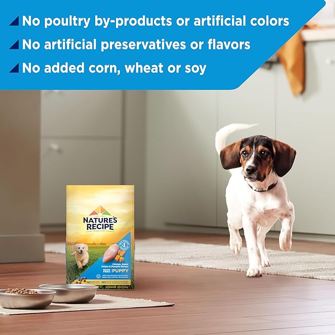 Nature's Recipe Grain Free Puppy Dry Dog Food, Chicken, Sweet Potato & Pumpkin Recipe, 4 lb. Bag