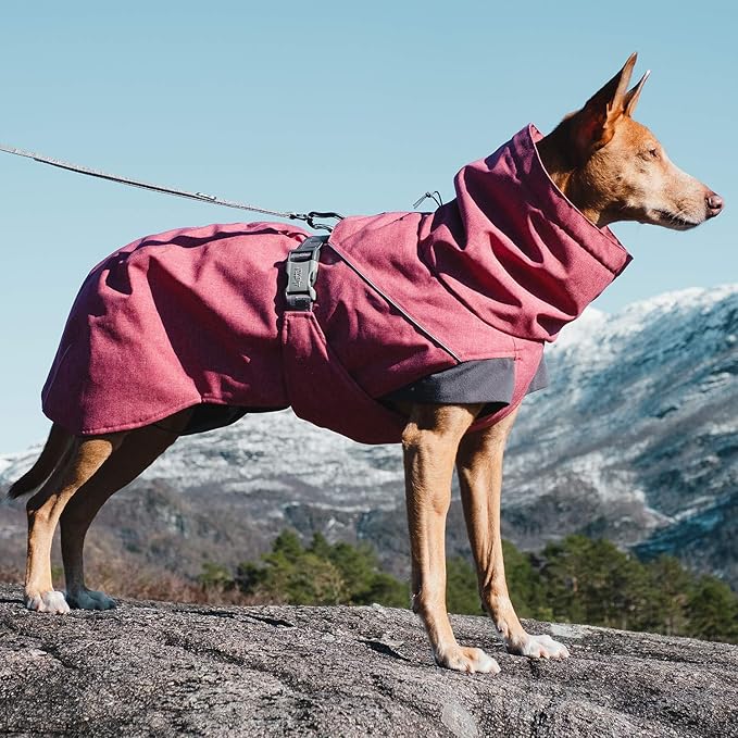Hurtta Expedition Parka, Winter Dog Coat, Beetroot, 10 in