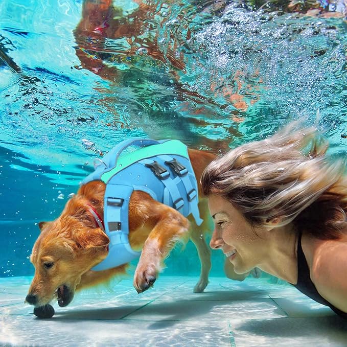 Queenmore Dog Life Jacket,Life Vest for Extra Large Dogs,Reflective Dog Swimming Jacket,Superior Buoyancy Pet Lifesaver,High Floating Pet Life Vest for Swimming(Blue,XL)