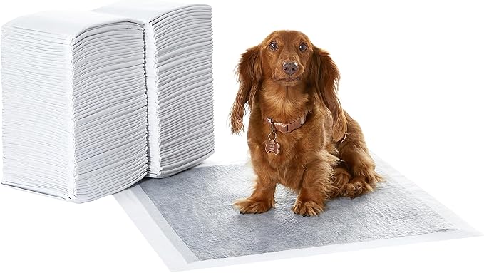 Amazon Basics Carbon Odor Control Dog and Puppy Pee Pads, 5-Layer Leak-Proof Super Absorbent, Quick-Dry Surface for Potty Training, Regular Size 22"x22", Gray, 120 Count
