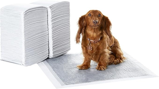 Amazon Basics Carbon Odor Control Dog and Puppy Pee Pads, 5-Layer Leak-Proof Super Absorbent, Quick-Dry Surface for Potty Training, Regular Size 22"x22", Gray, 120 Count