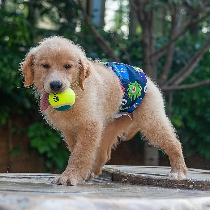 CuteBone Dog Belly Bands for Male Dogs Wraps Washable Doggie Diapers DM07S