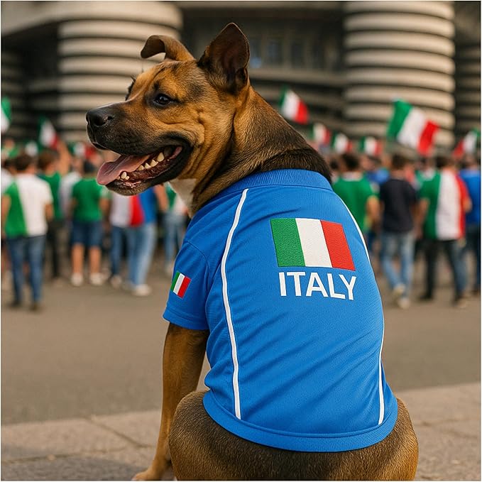 Parisian Italy Dog Jersey - Breathable Mesh Puppy Football Jersey - Stretch Sporty Dog Clothes - Summer Shirts for Large Dogs - Soccer Jersey for Dogs - Sportswear Pet Clothes - Team Italy Apparel