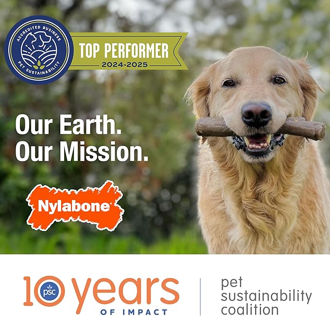 Nylabone Nubz Natural Dog Chew Treats for Puppies, Long Lasting Dog Bones Made in USA, Puppy Training Treats, Turkey & Sweet Potato Flavor, for Puppies Up to 25 lbs. (8 Count)