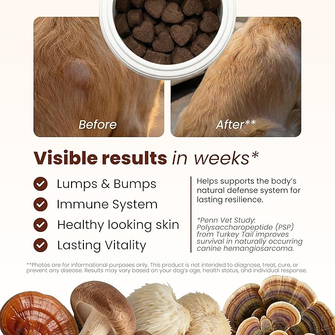 Pawpulse Formula Immune Defense Mushrooms for Dogs - Cellular Growth, Turkey Tail and Lions Mane for Cognitive Support, Lumps and Bumps, Gut Health and Longevity - Senior Dog Supplement, 80 Chews