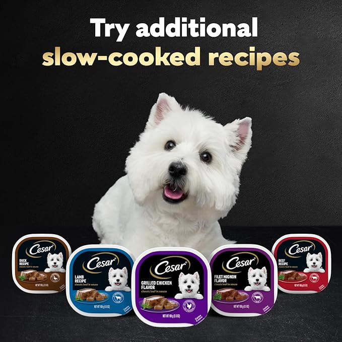 Cesar Wet Dog Food Classic Loaf in Sauce, Filet Mignon Flavor, Porterhouse Steak Flavor, Grilled Steak & Eggs Flavor, and Beef Flavor, 3.5 oz. Easy Peel Trays, Variety Pack, 60 Count