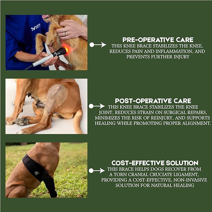 Adjustable Dog Knee Brace for Torn ACL and Luxating Patella - Support for Back Leg, Hip Dysplasia, and Post-Surgery Recovery. Optimal Comfort and Stability for Your Beloved Pet