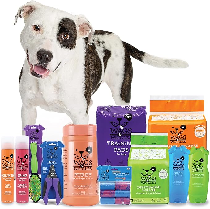 Wags & Wiggles Freshen Deodorizing Dog Shampoo, Very Berry Scent - Odor-Eliminating Dog Shampoo with Tea Tree Oil and Safflower for Smelly Dogs, Paraben Free, 16 Fl Oz