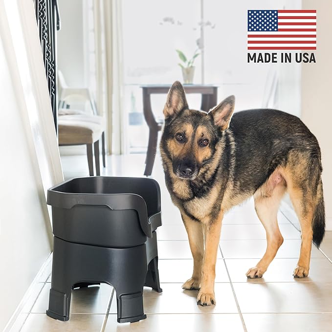 Neater Feeder Deluxe Mess-Proof Elevated Dog Bowls for Large Dogs (40+ lbs), 2 Height Adjustable (14.5” & 17.5”) No-Spill Raised Dog Bowl Stand, Stainless Steel Food Bowl Set, Made in USA, Black
