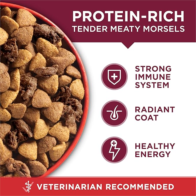 Purina ONE Small Bites Beef and Rice Formula Small High Protein Dry Dog Food Natural With Added Vitamins, Minerals and Nutrients - 31.1 lb. Bag